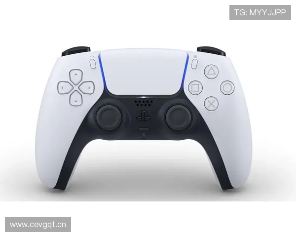 半岛体育app登录账号密码重置流程详解及安全建议