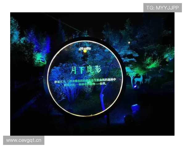 星空娱乐二维码在公共空间中的应用案例分析提升夜空影视与互动体验效果